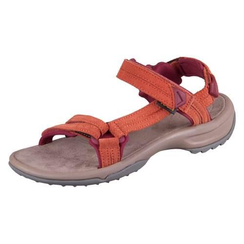 TEVA picture