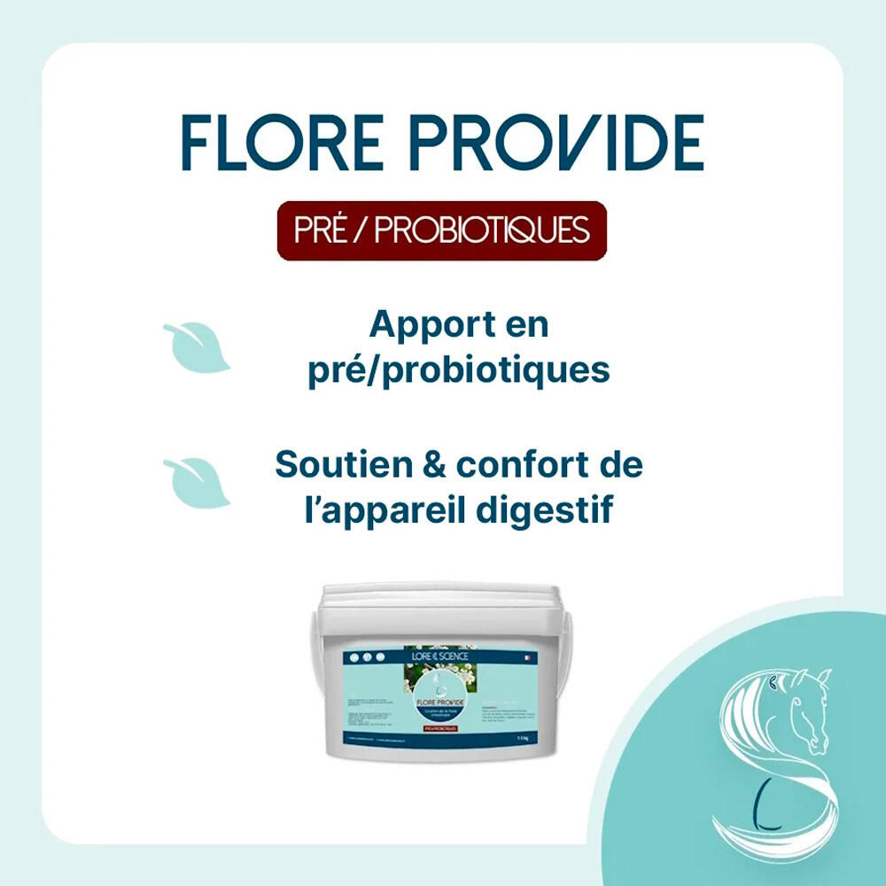 Probiotiques & protection ulcère Flore Provide Lore & Science 1Kg 2/3