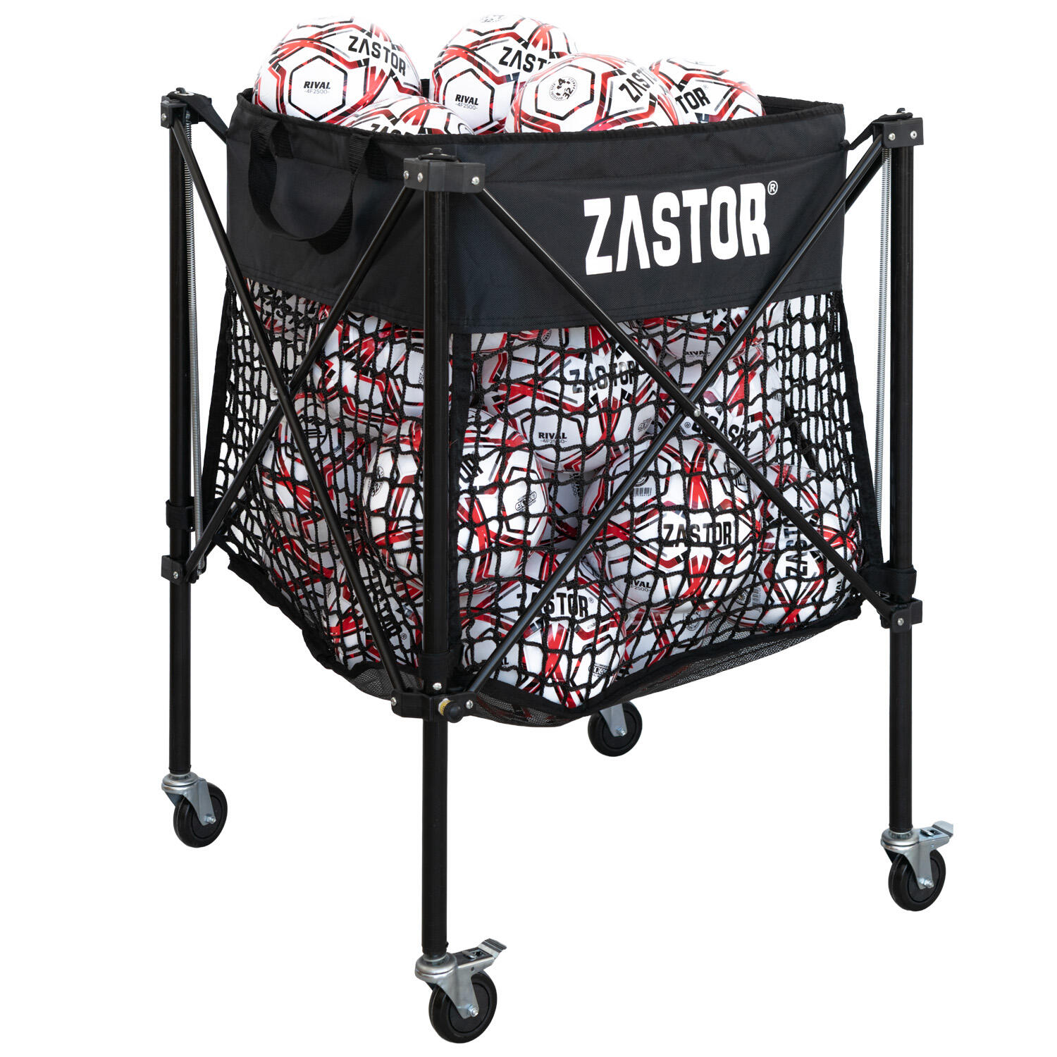 ZASTOR picture