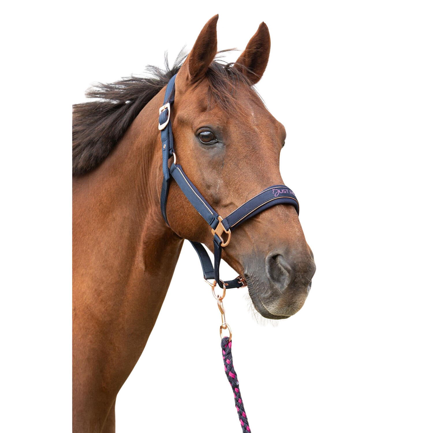 HARRYS HORSE Halster en touwset voor paarden Harry's Horse Just Ride NightSky