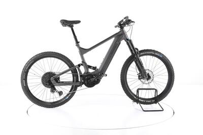 Ebike ricondizionata · Riese & Müller Delite mountain touring · Buone condizioni
