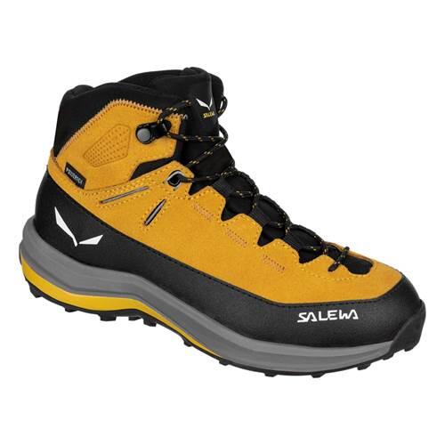 Buty trekkingowe dla dzieci Salewa Mtn Trainer 2 Mid Ptx