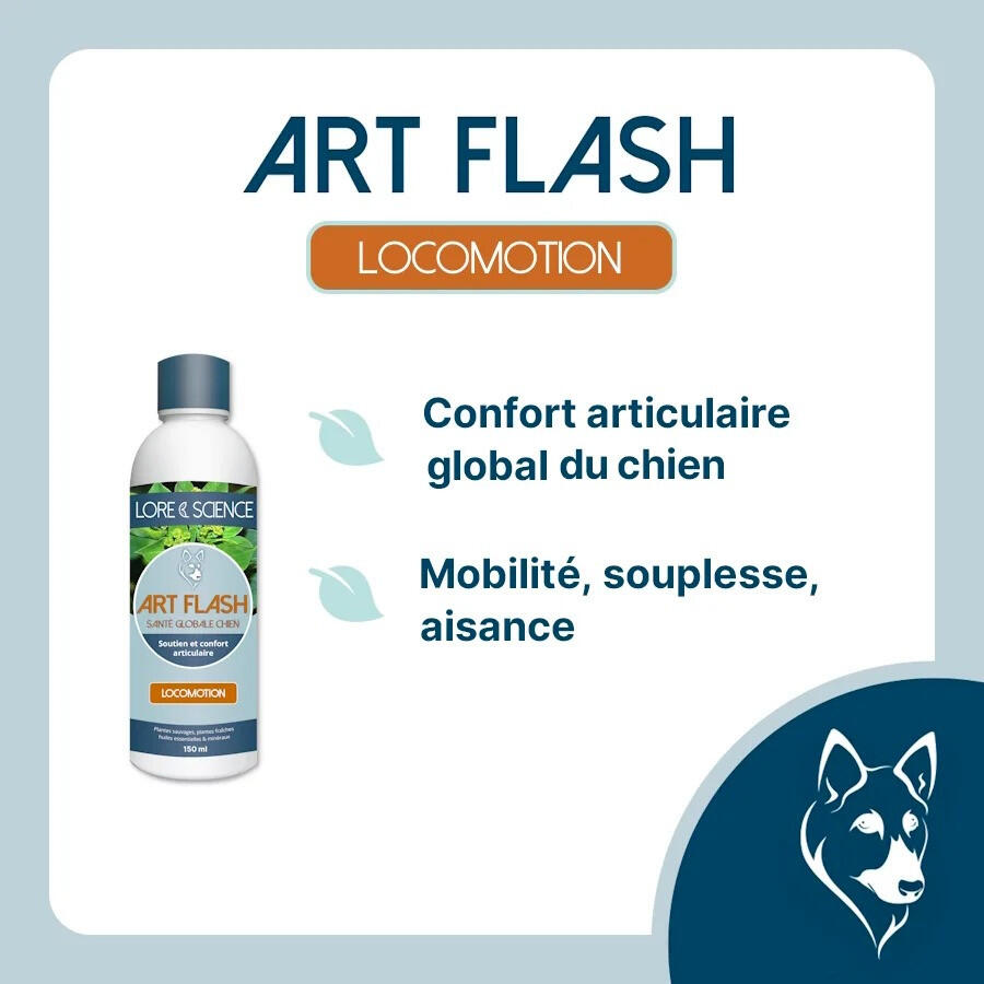 Action rapide boiterie chien Art Flash Lore & Science 150mL 2/4