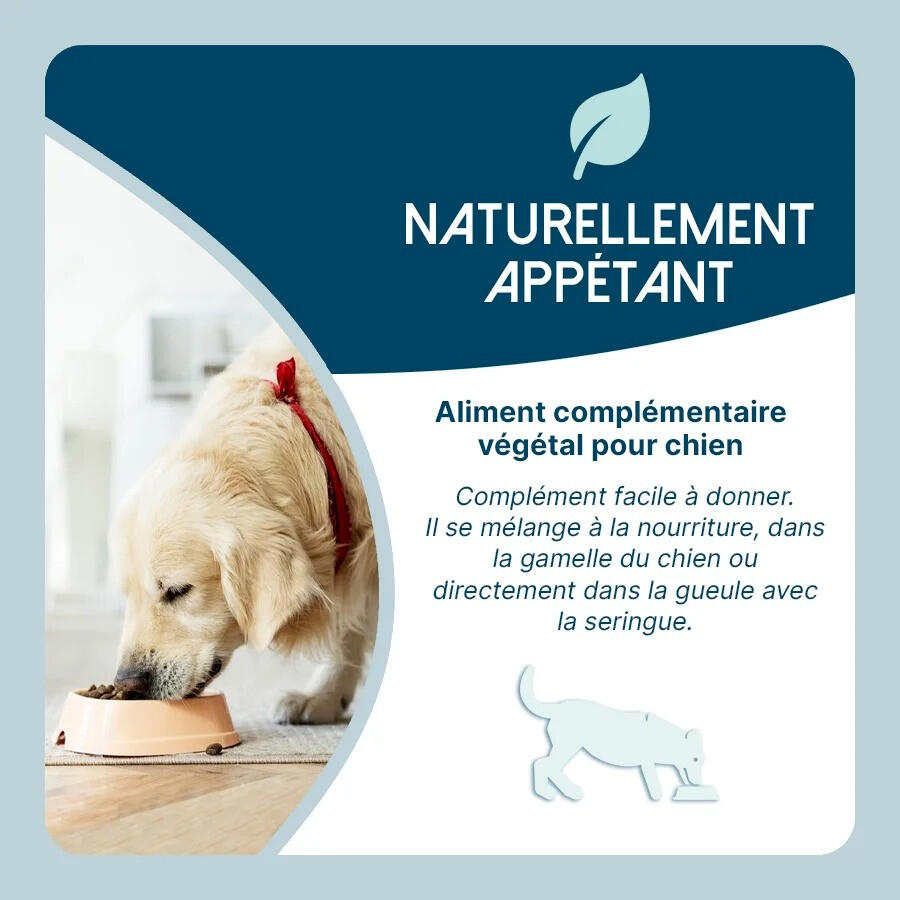 Action rapide boiterie chien Art Flash Lore & Science 150mL 4/4