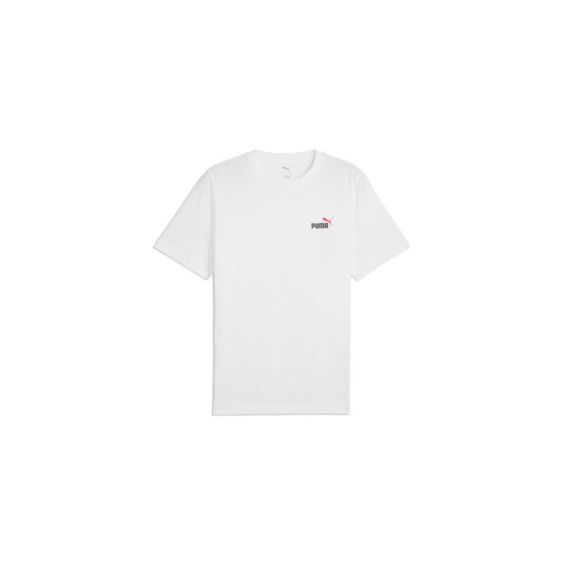 PUMA picture