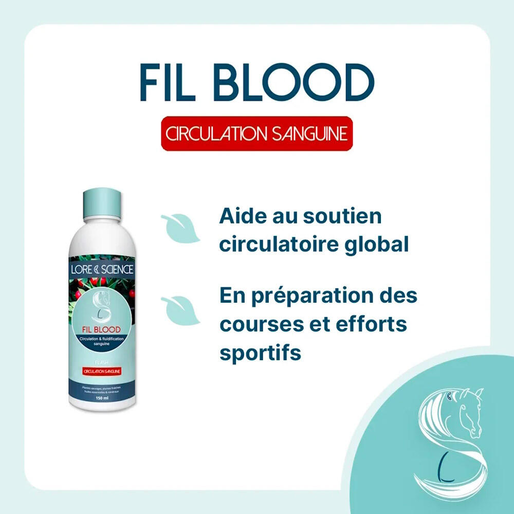 Bloedcirculatie bij paarden - Draad: Bloedkennis en -wetenschap 150 ml 2/4