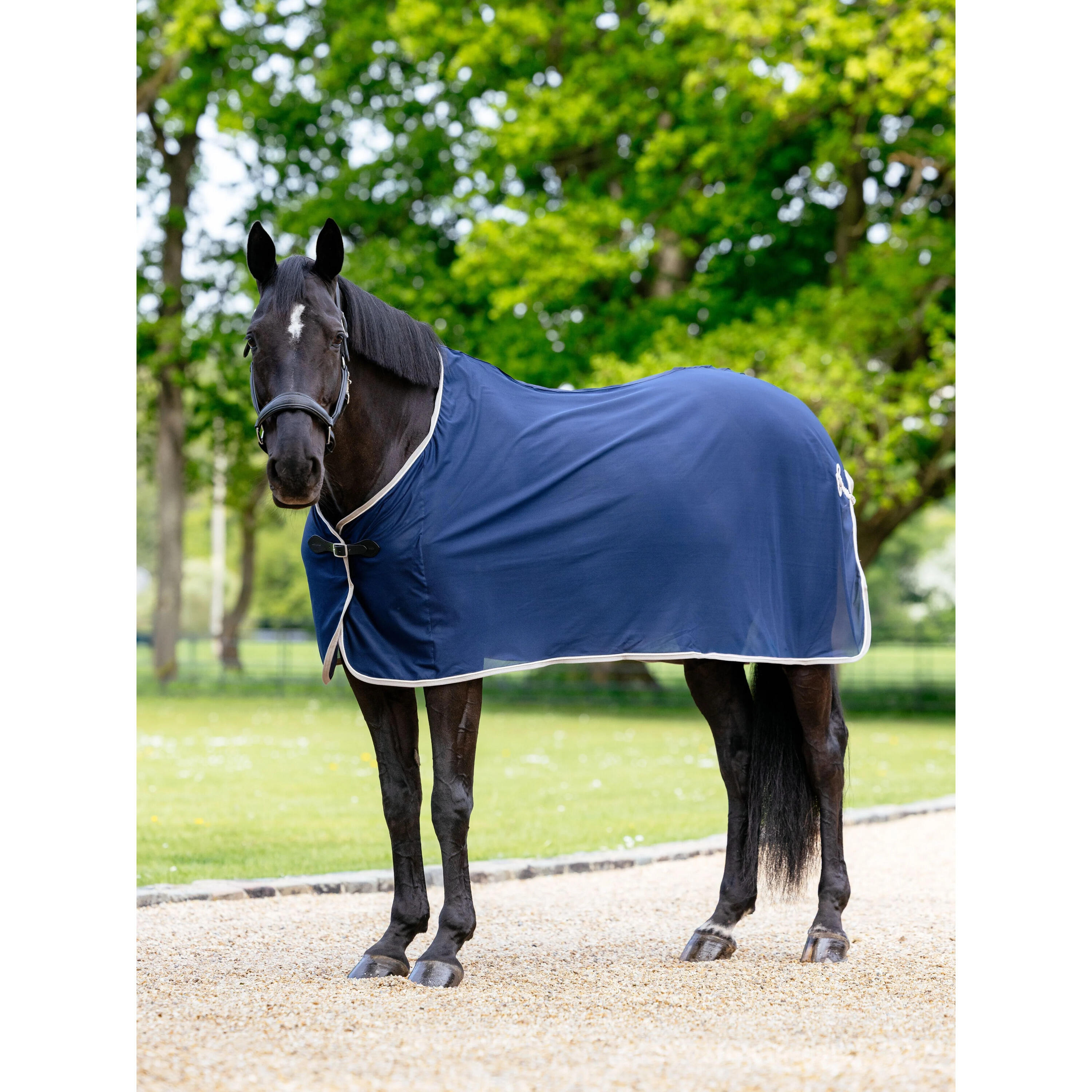 Drooghemd voor paarden LeMieux 2/4