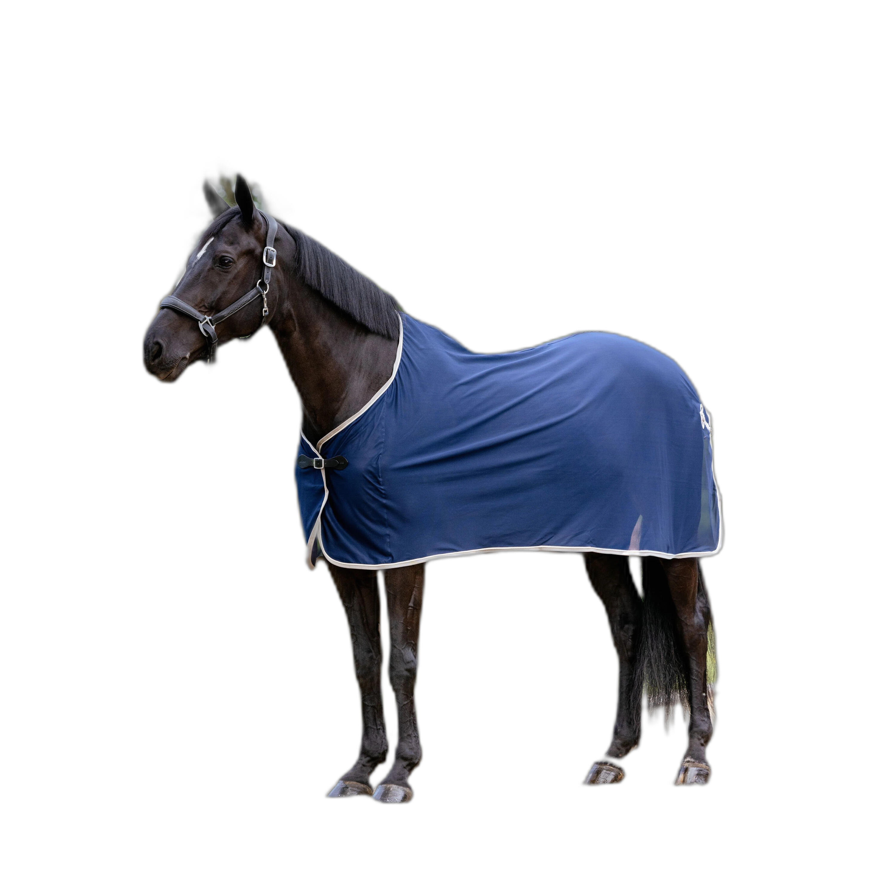 Drooghemd voor paarden LeMieux 1/4