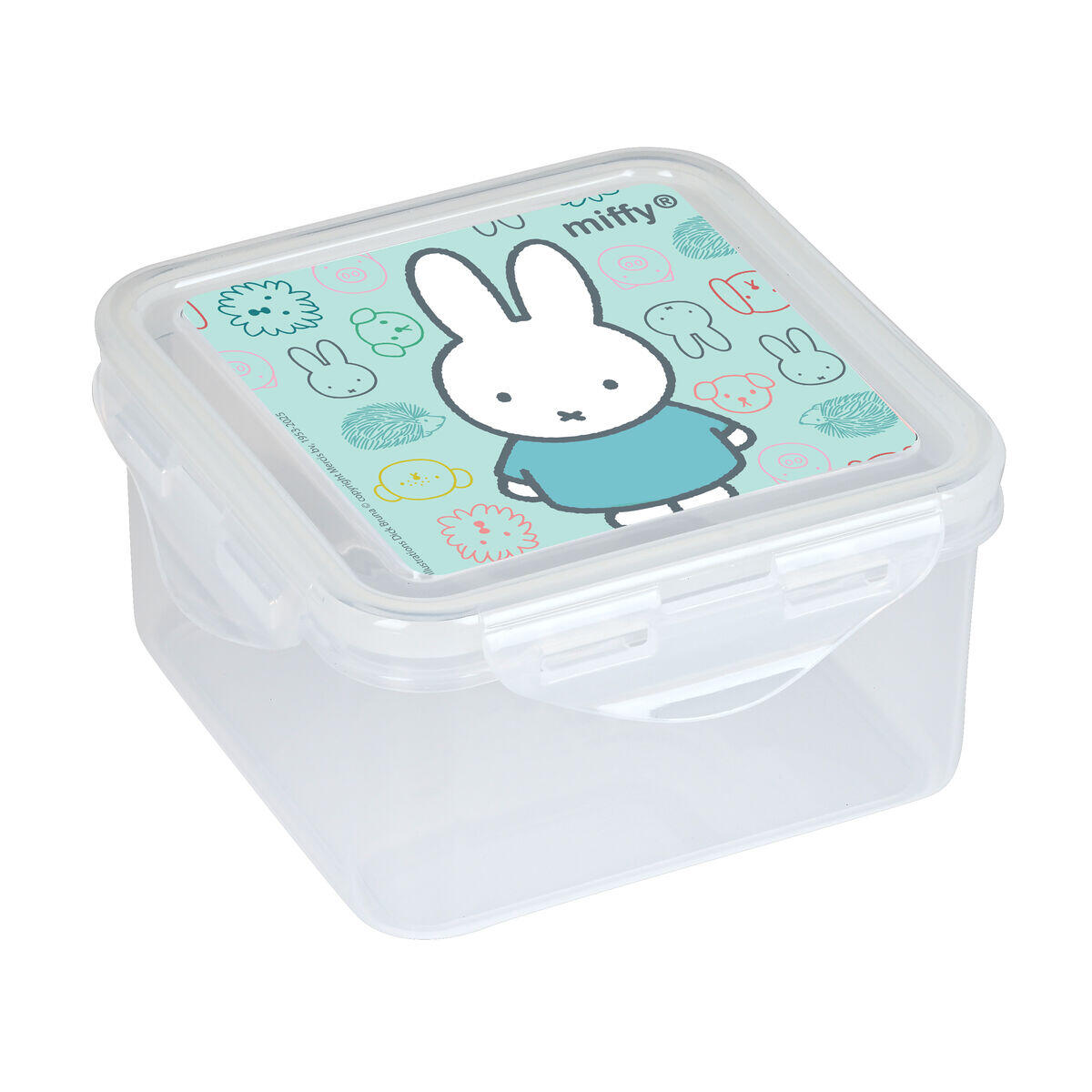 SENZA MARCA Contenitore per Sandwich Safta Friends Poliestere
