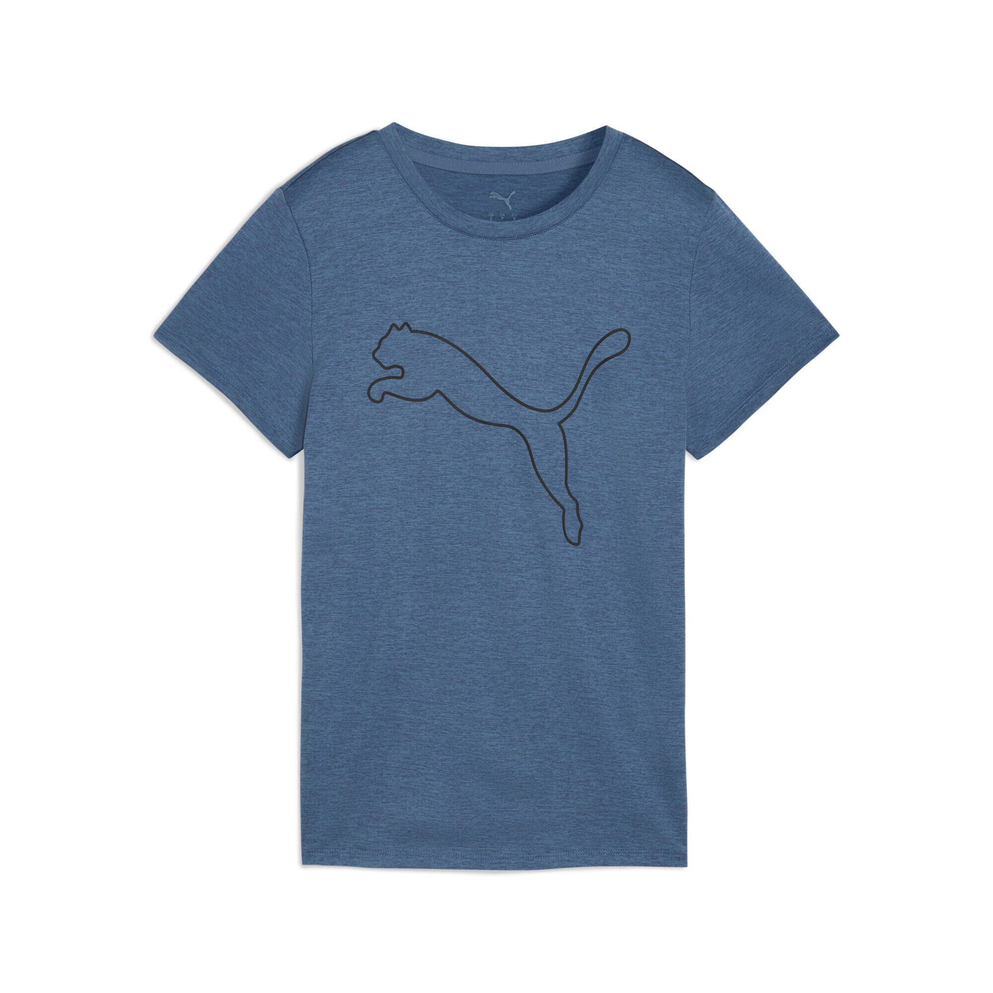 PUMA picture