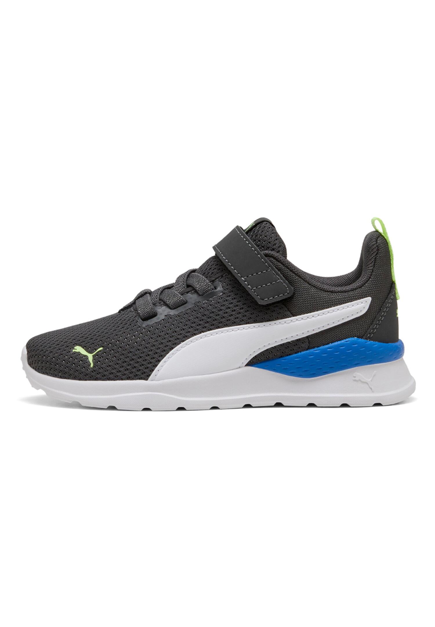 PUMA picture
