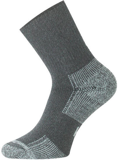 Chaussettes fonctionnelles LASTING KNT grises