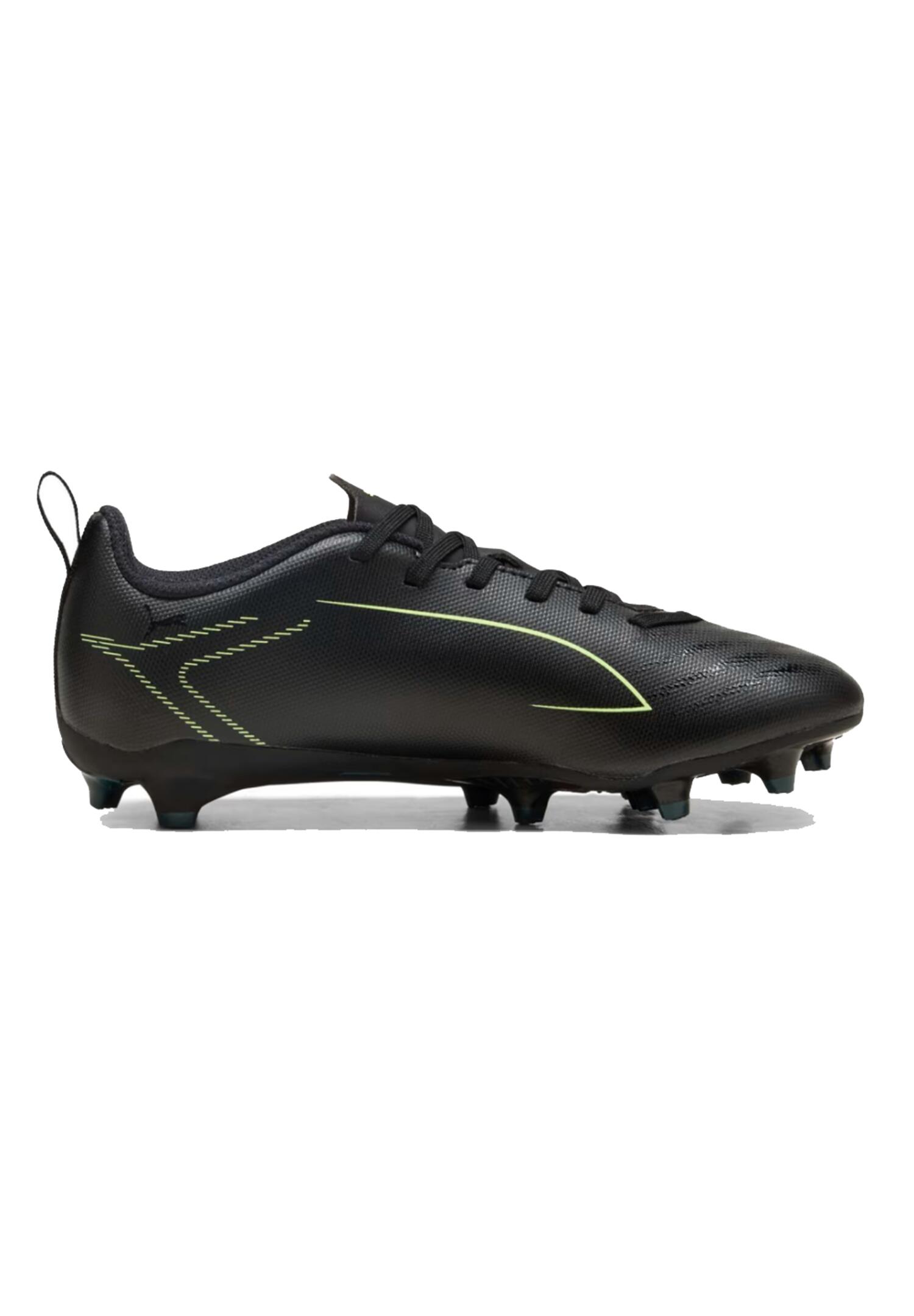 PUMA picture
