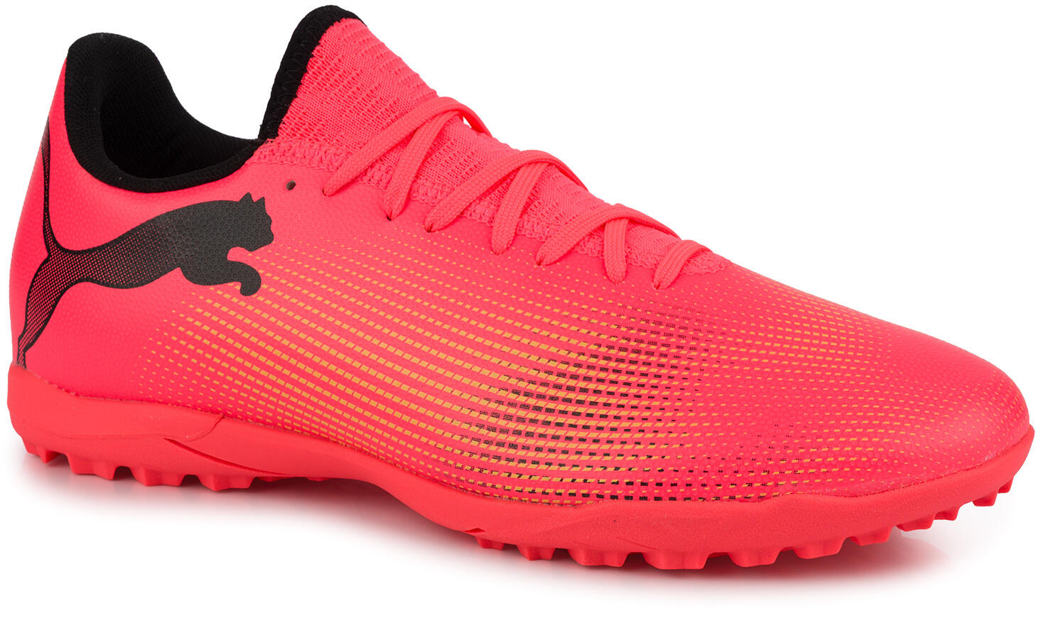 PUMA picture
