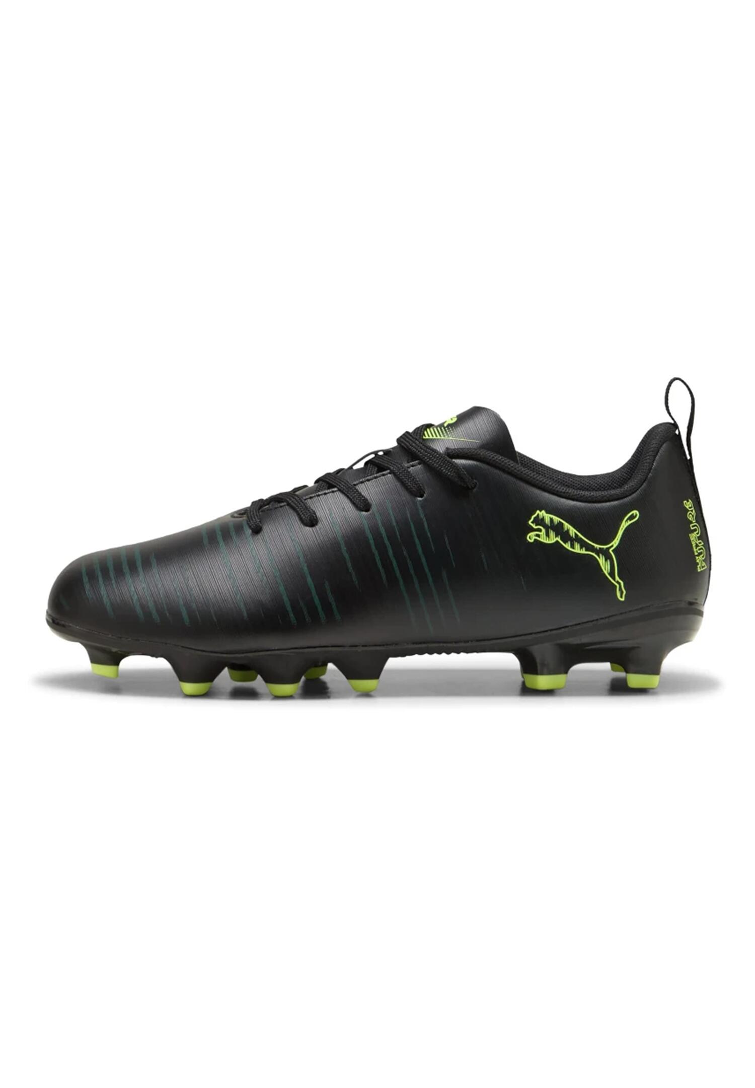 PUMA picture