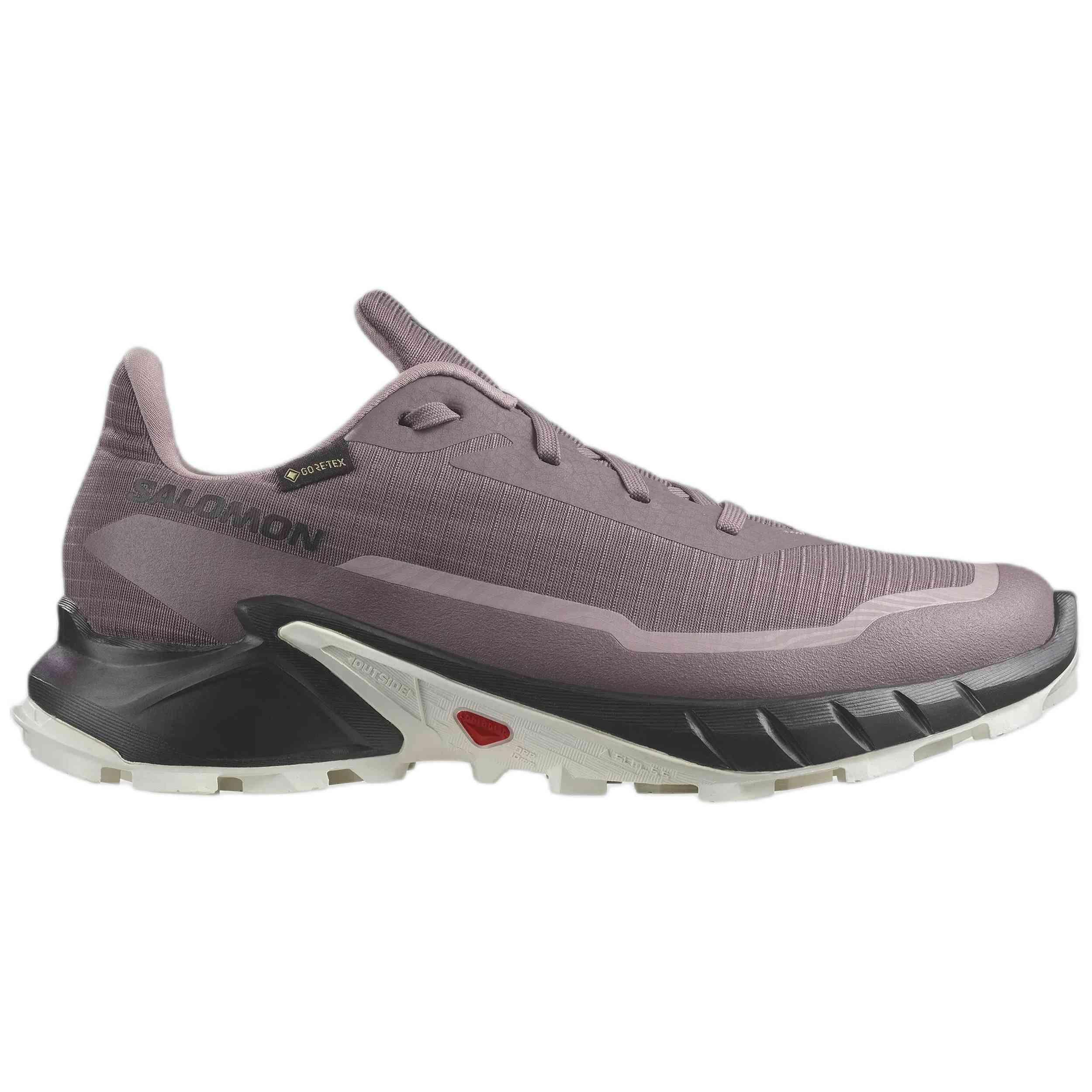 SALOMON picture