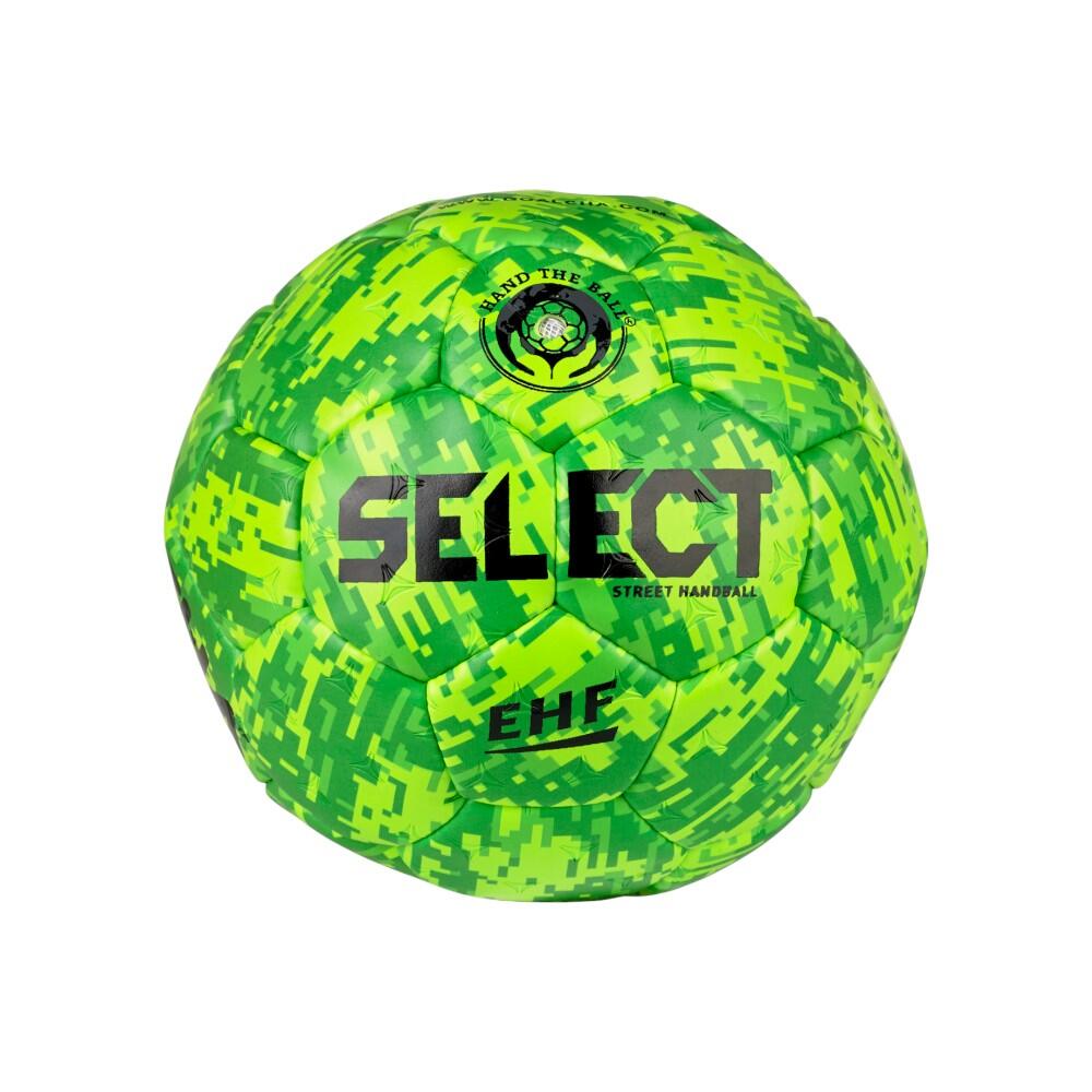 SELECT picture