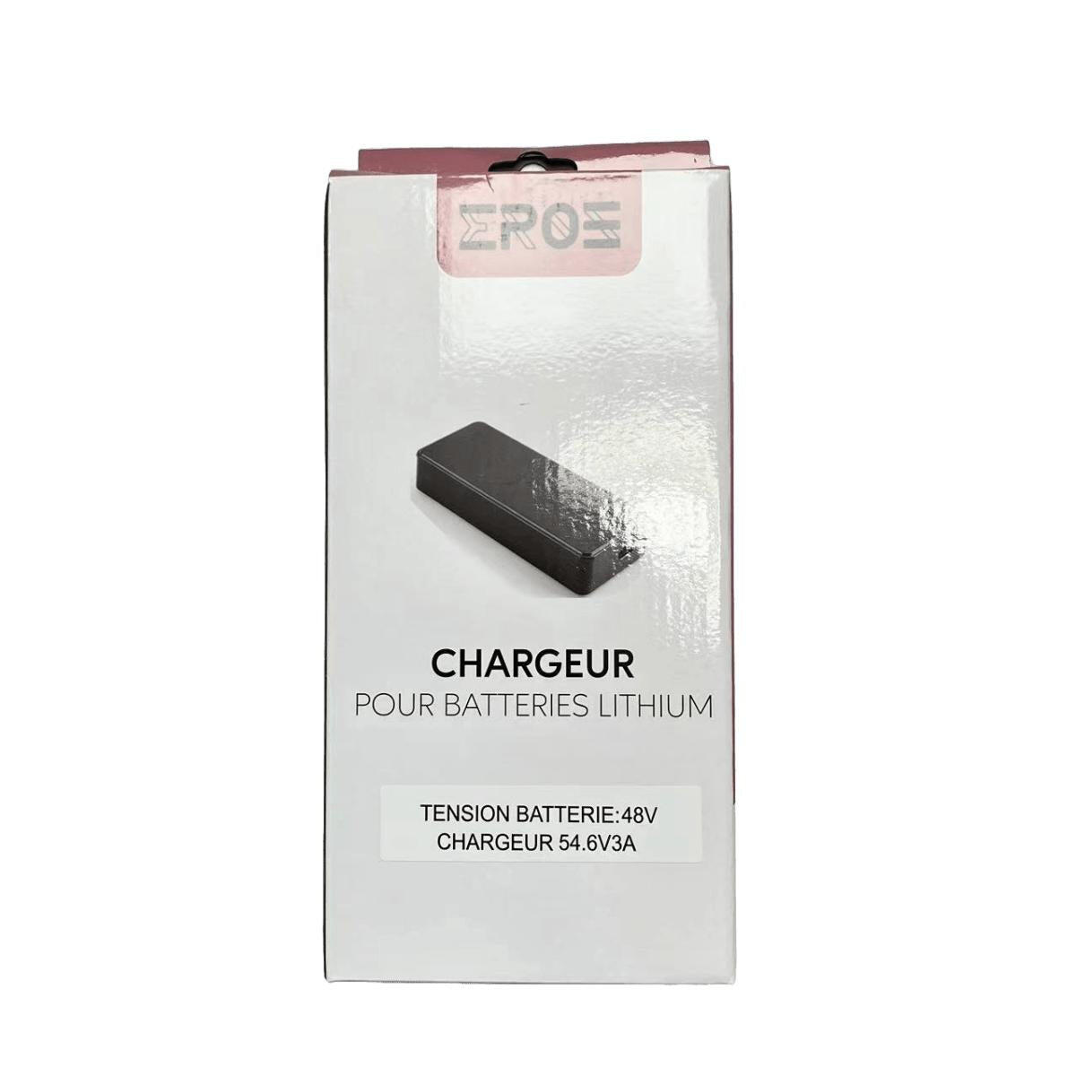 Chargeur Standard Universel de Trottinette Électrique pour Batterie 48V 3/6
