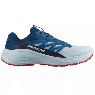 Hardloopschoenen salomon model l47724300 voor mannen