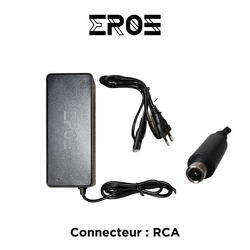 Chargeur Rapide Universel Trottinette Électrique Batterie 36V