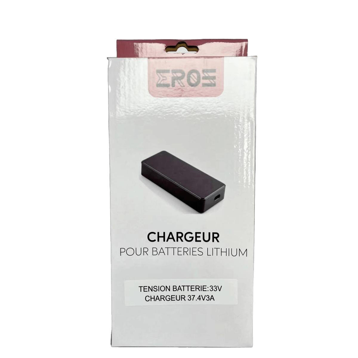 Chargeur Standard de Trottinette Électrique pour Batterie 33V 3/5