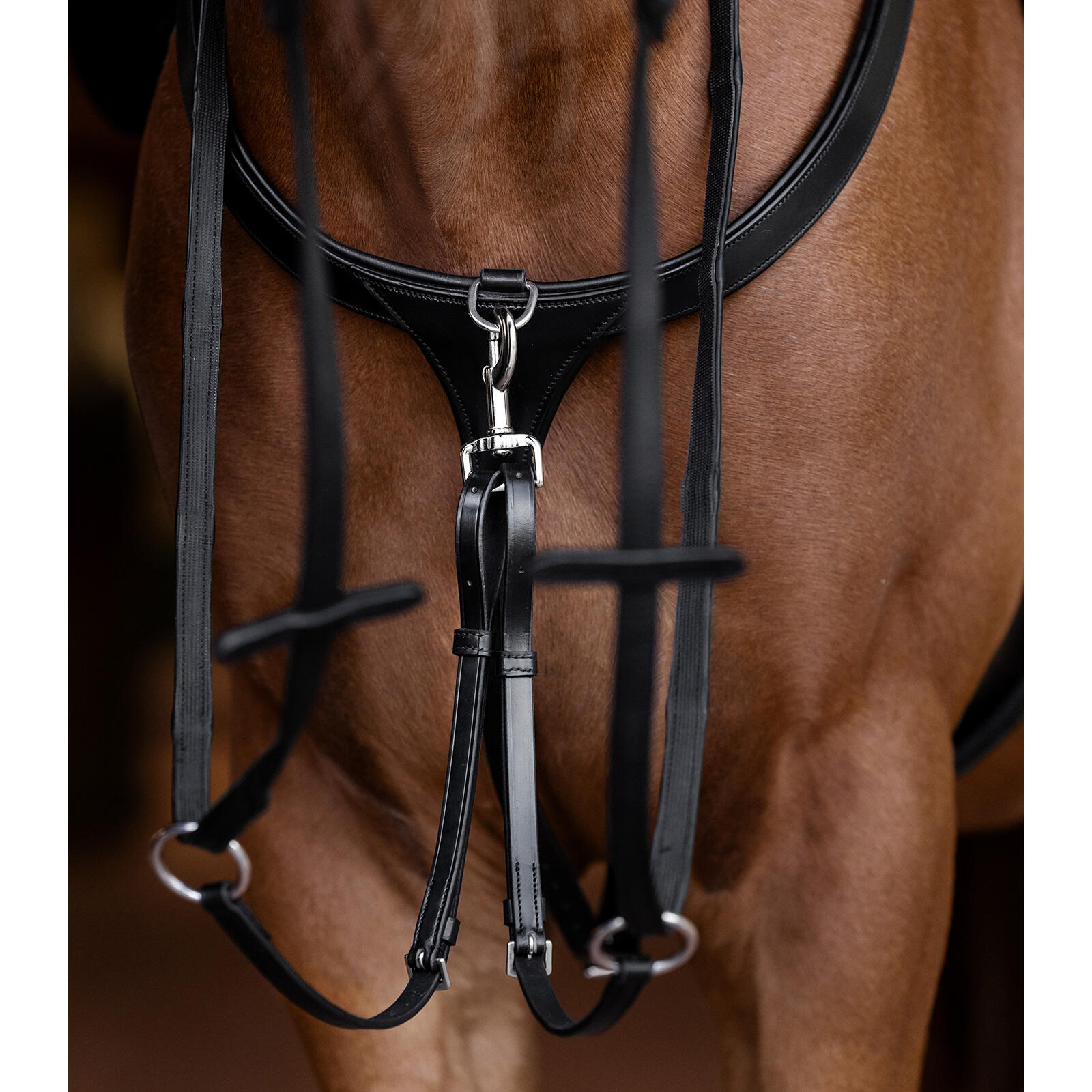 Collar de caza para caballo de cuero Waldhausen X-Line 2/3