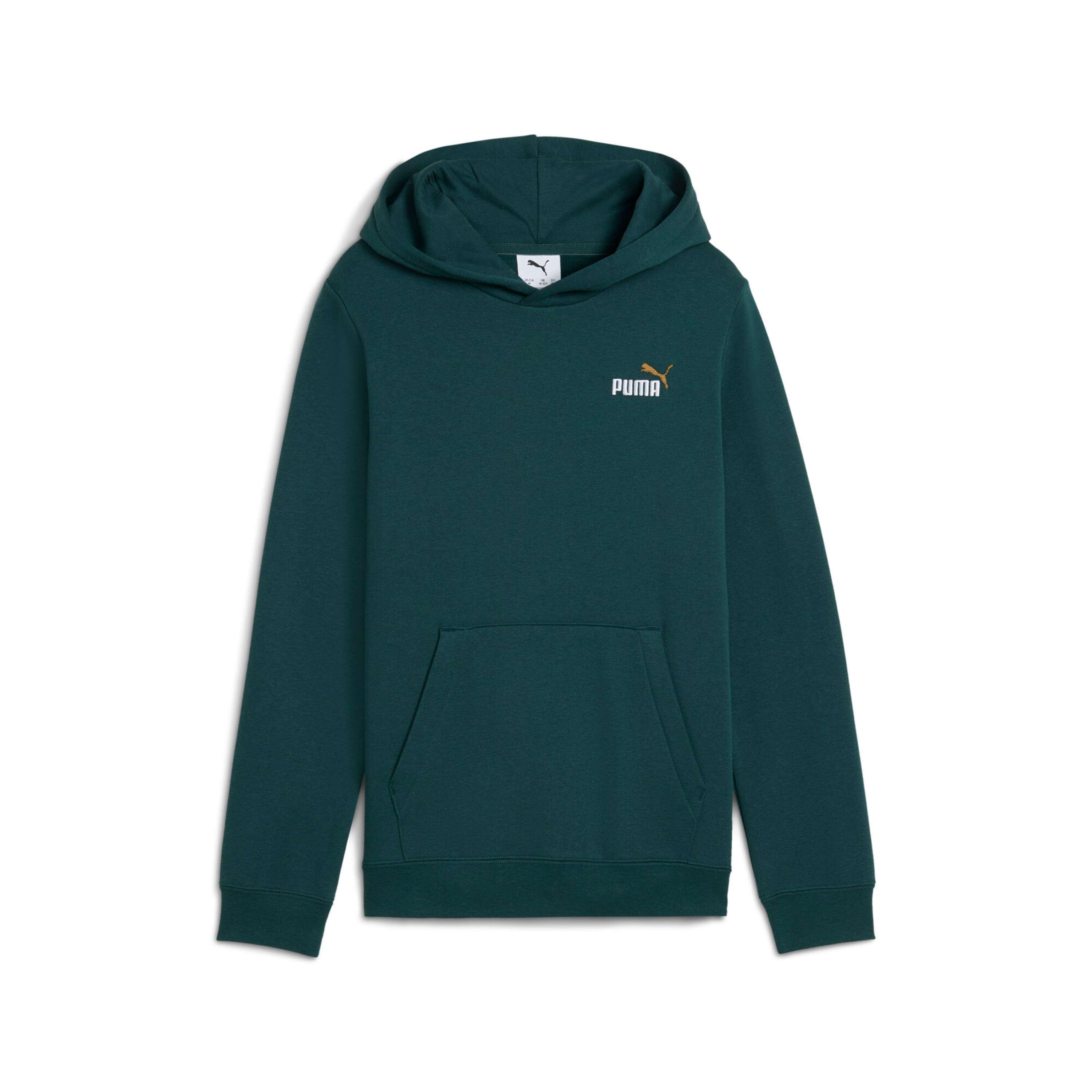 PUMA picture