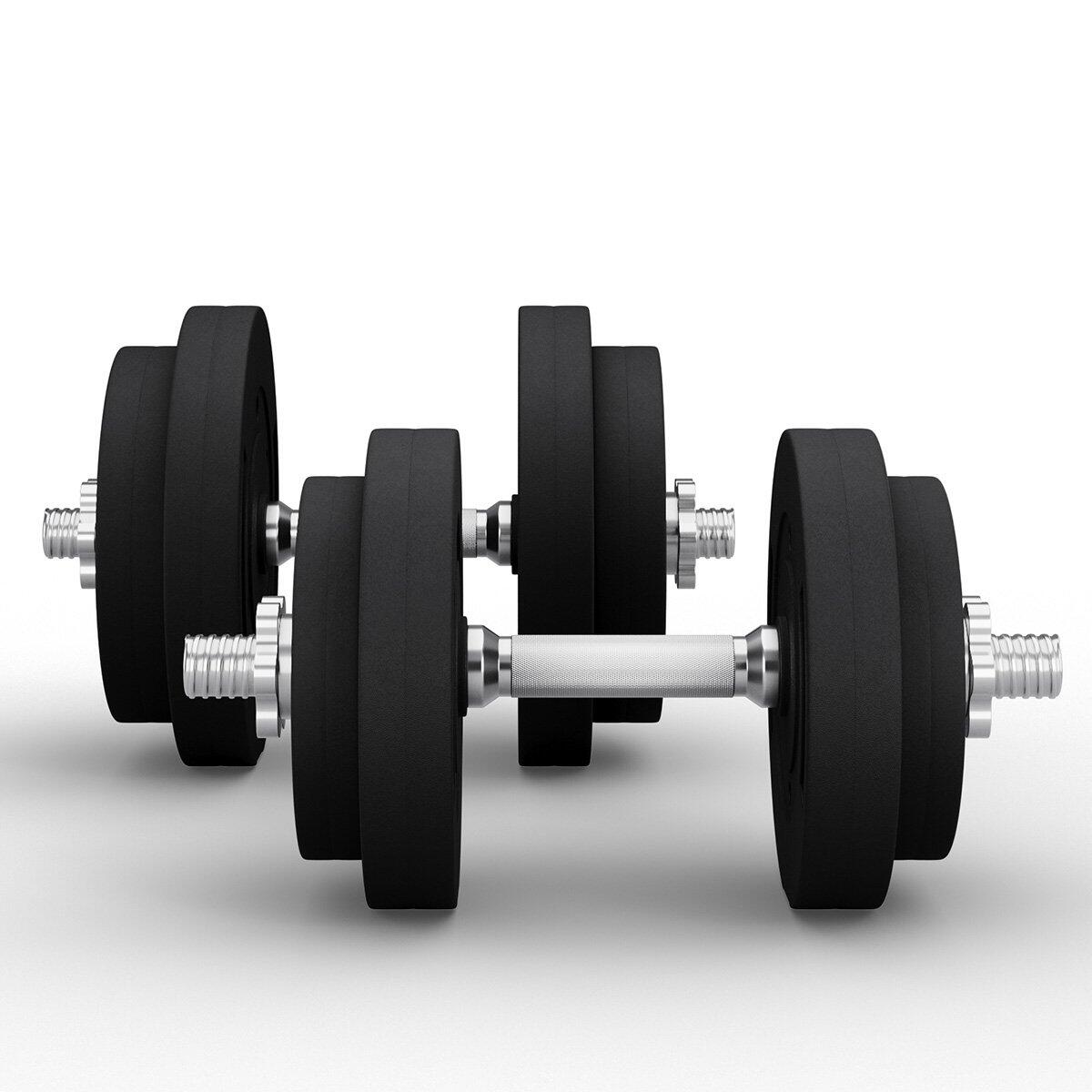 Barre per manubri Zipro 40cm (set di 2) 6/8