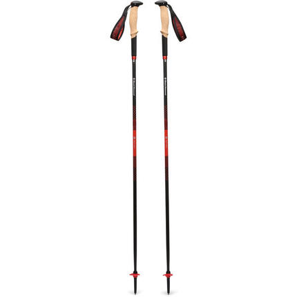 Bâton de randonnée Black Diamond Carbon Z