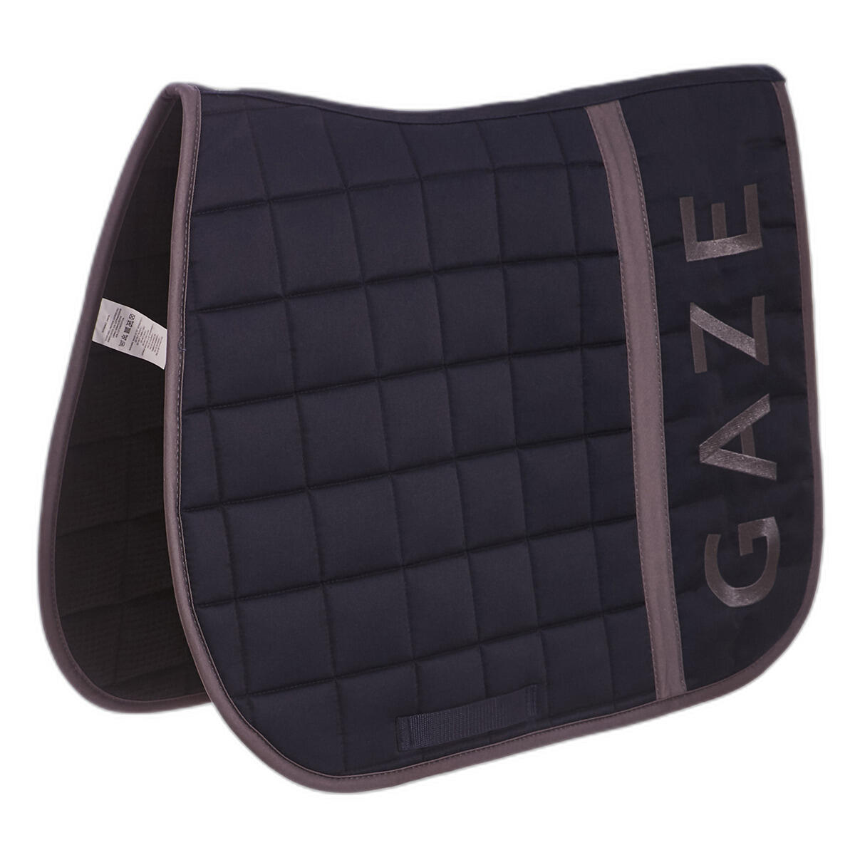 GAZE picture