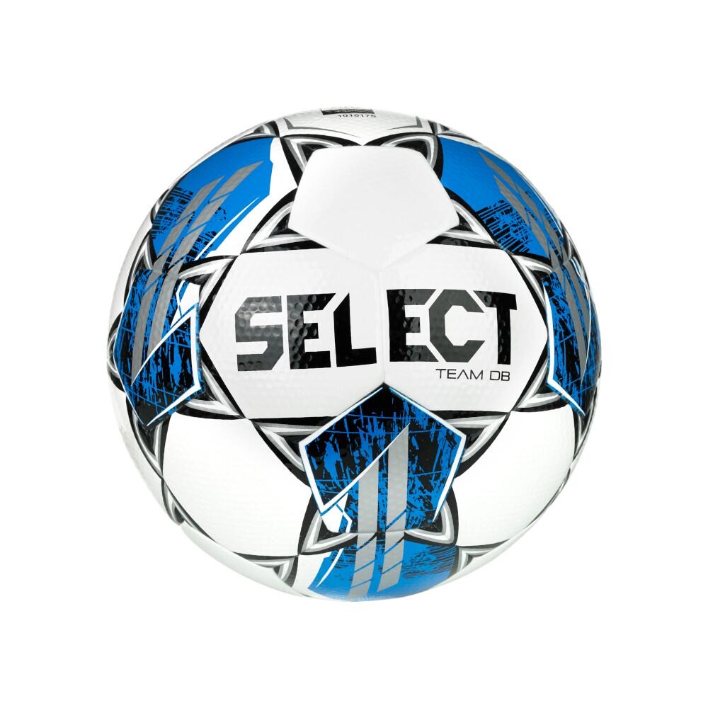 SELECT picture
