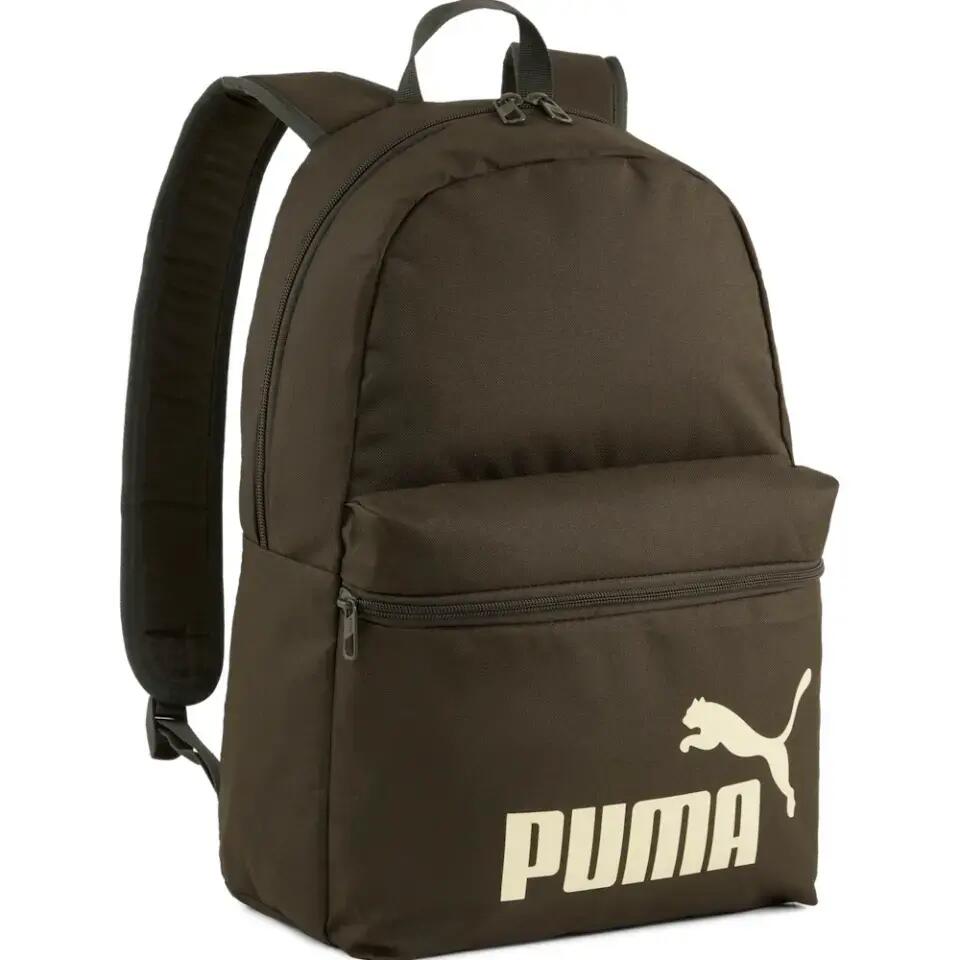PUMA picture
