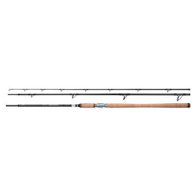 Spinhengel shimano speedmaster salmon 40-100g