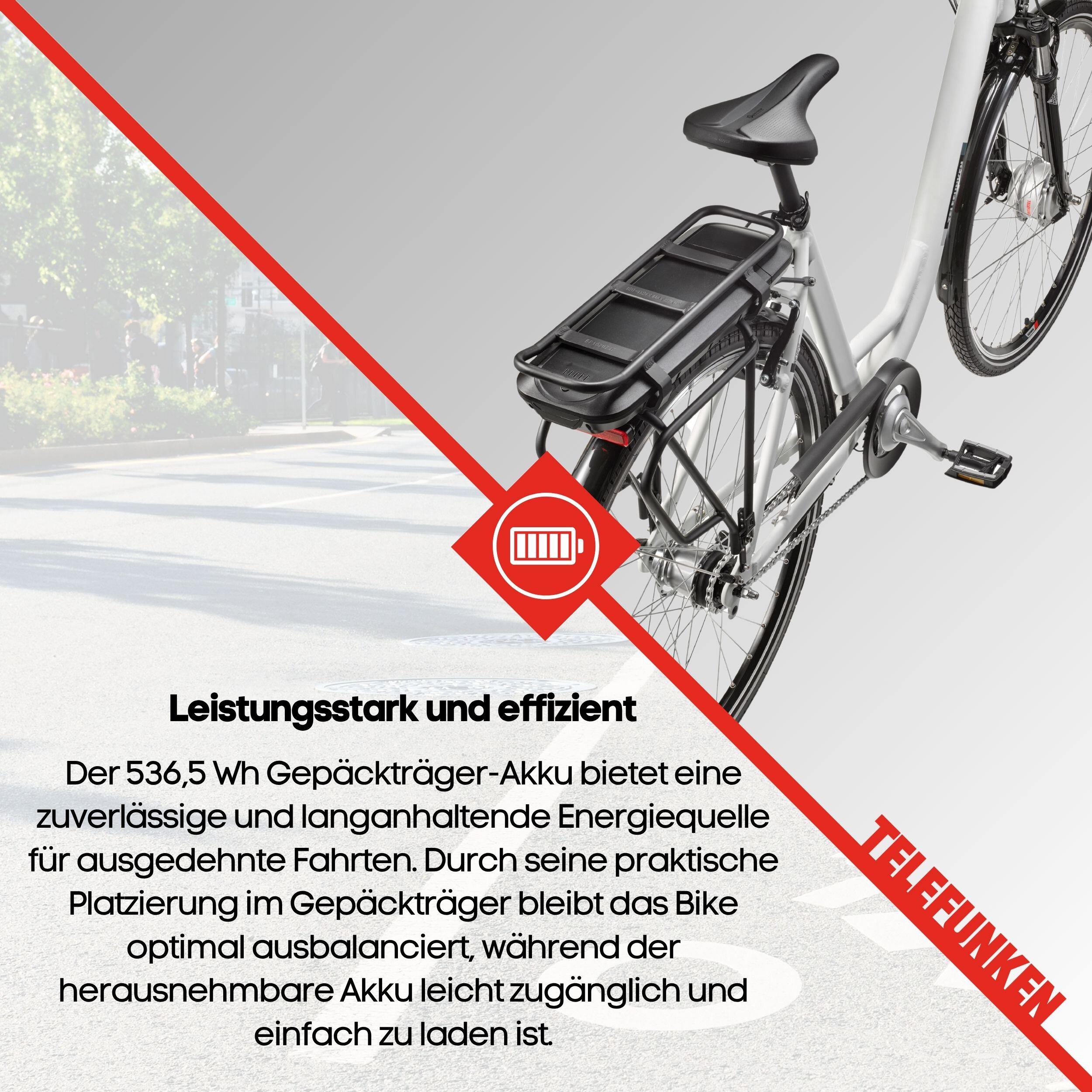 E-Bike RC667 28 Zoll 7-Gang Pedelec City Elektrofahrrad Rücktrittbremse weiß 7/7