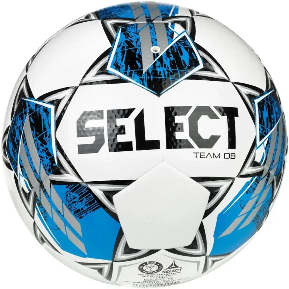 SELECT picture