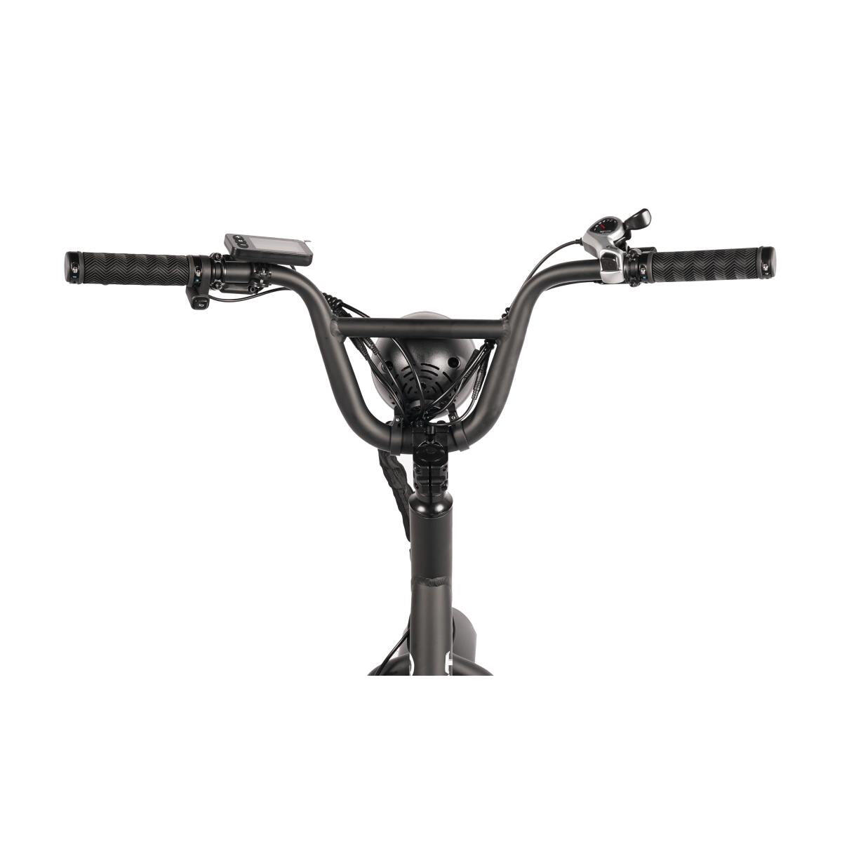 Fatbike Électrique Biplace Cargo Garrett Miller Urban 5/6