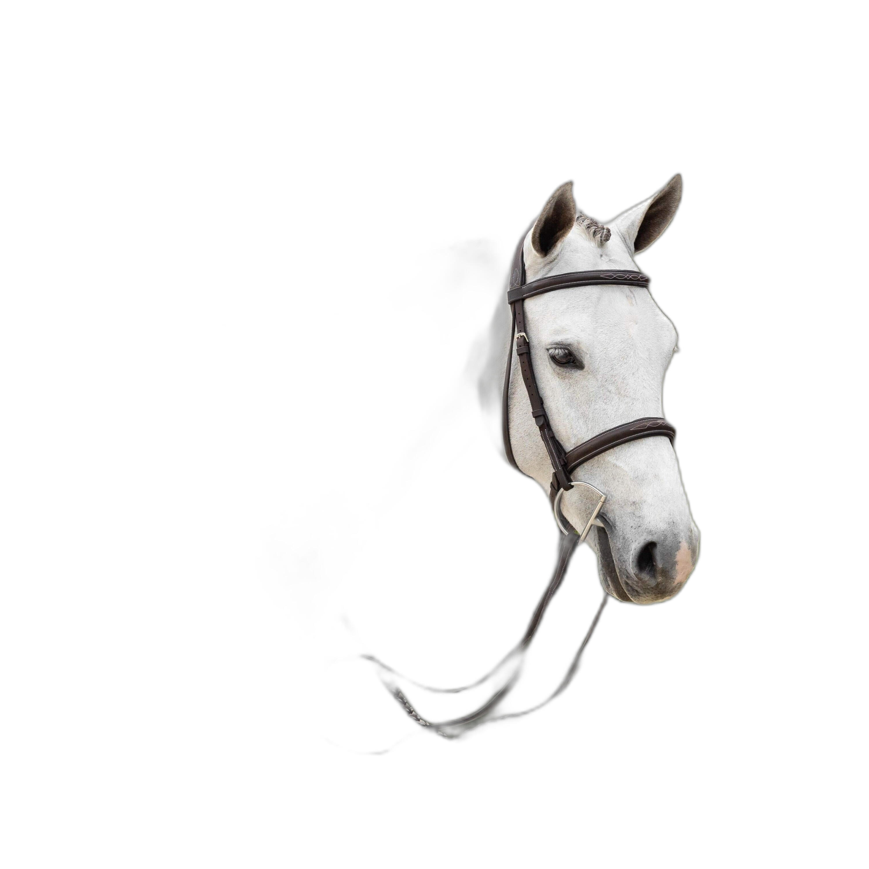 Paardrijhoofdstel met stiksel en gevlochten teugels LeMieux Hunter 2/5