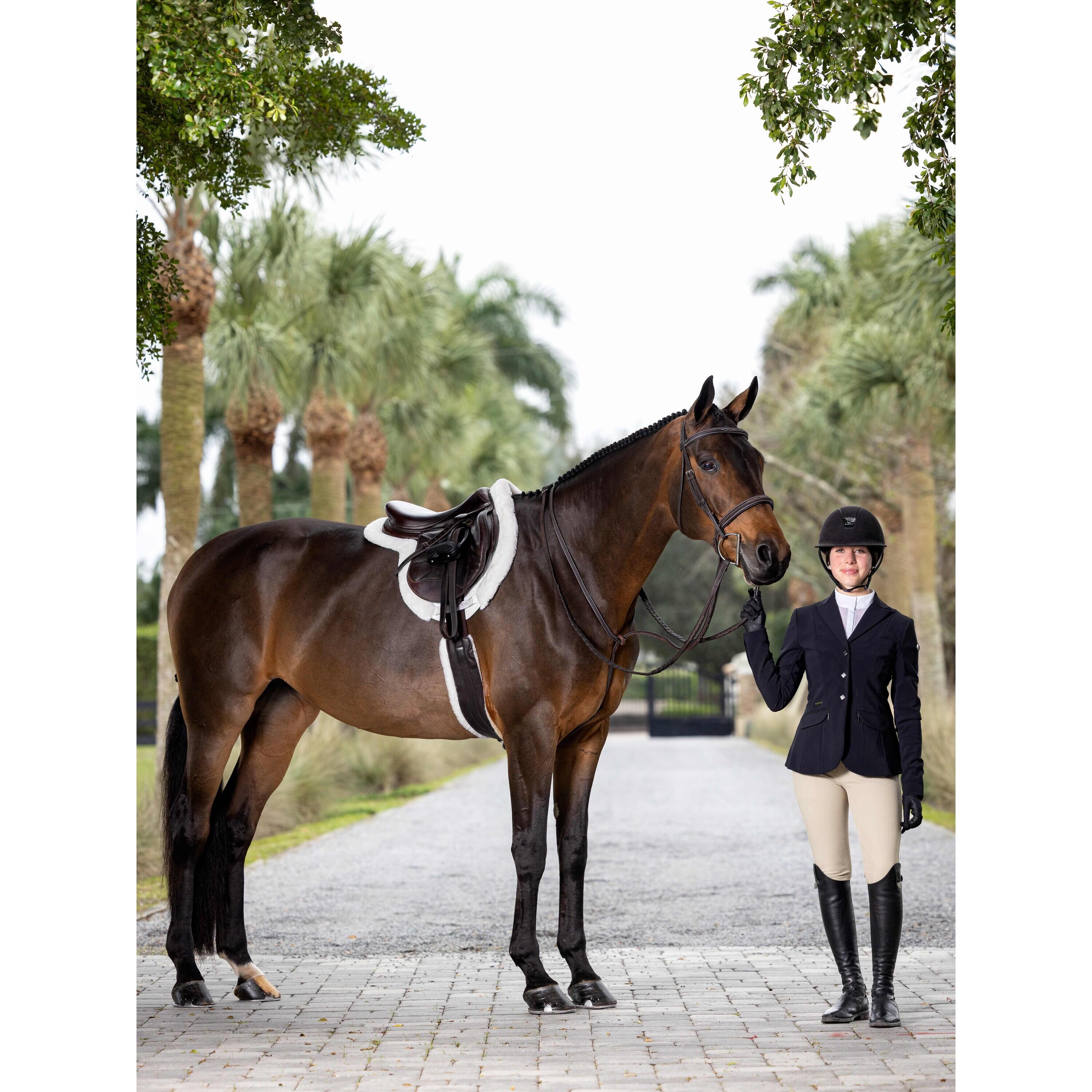 Paardrijhoofdstel met stiksel en gevlochten teugels LeMieux Hunter 5/5