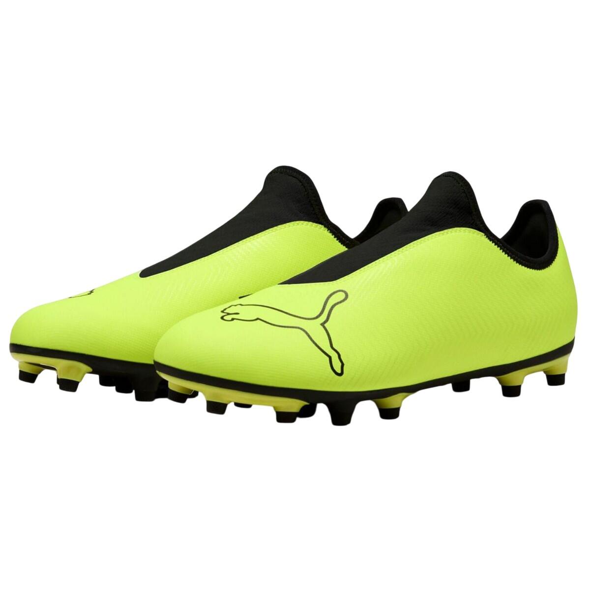 PUMA picture