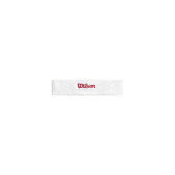 Bandeau Wilson Terry Logo