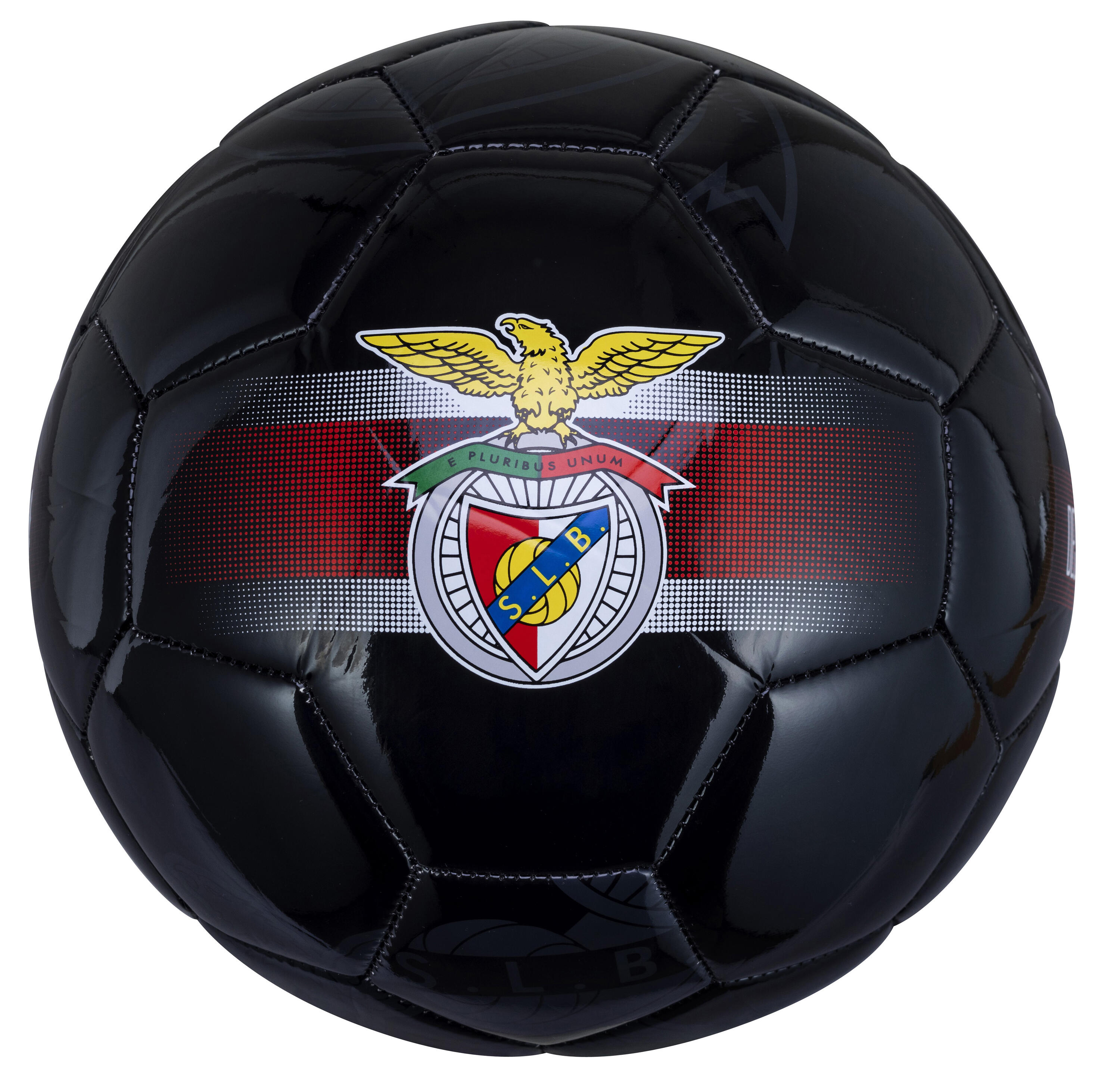 SL BENFICA picture