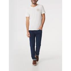 T-shirt manches courtes Homme - MILERTEE Arctique