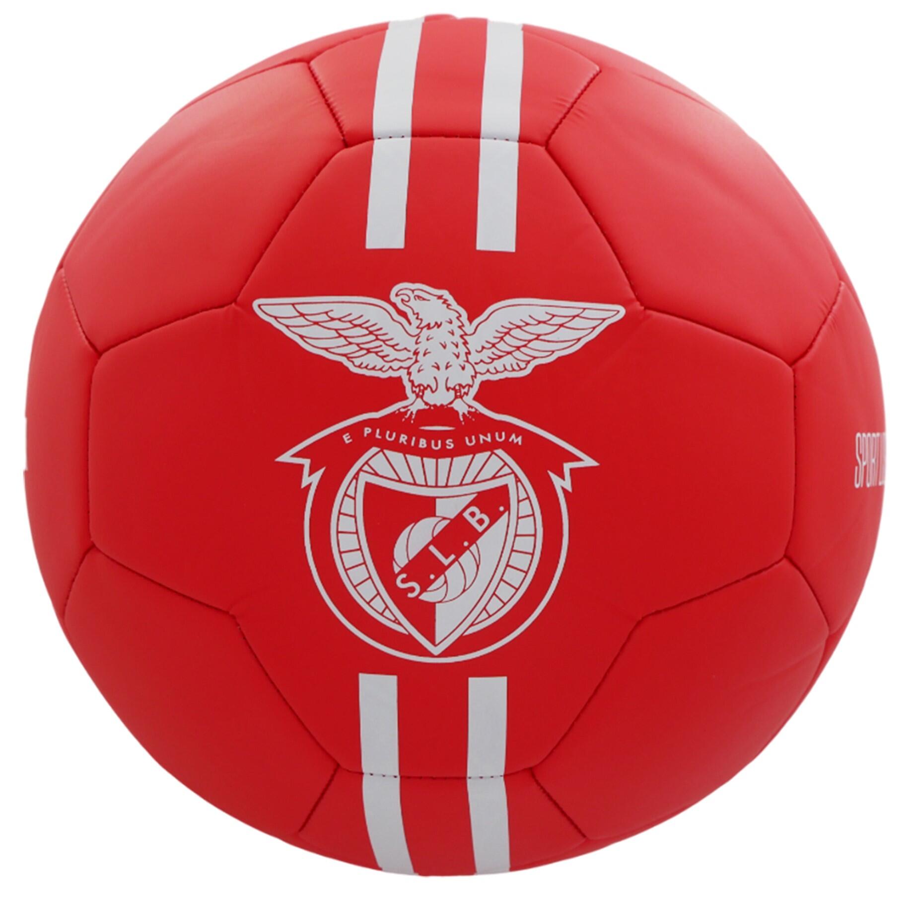 SL BENFICA picture