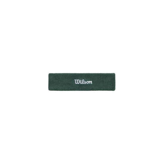 Bandeau Wilson Terry Logo