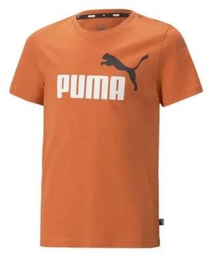Koszulka Dziecięca Puma Ess+2 Col Logo Tee