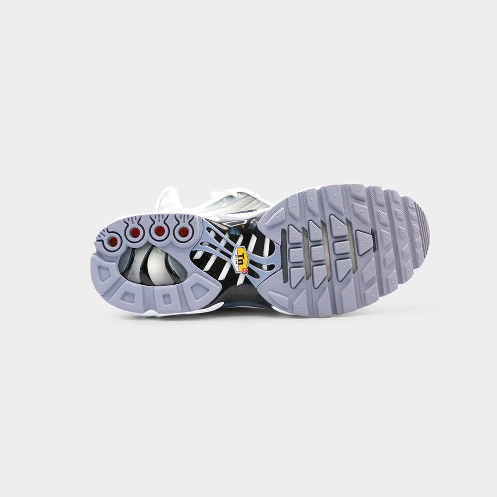 Air Max Plus Sail Grey 4/5