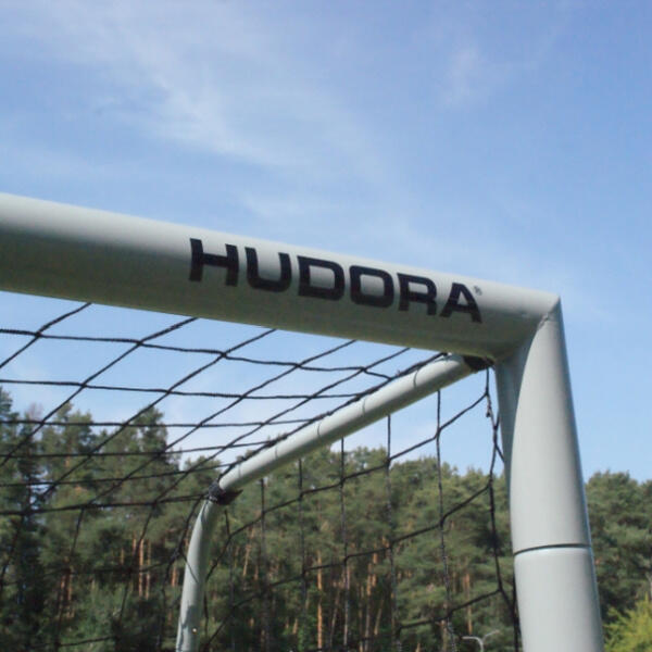 Porta da calcio Expert 300 3/6