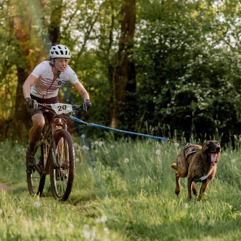 Bikejor Max UL - Barra cani-BTT - Inlandsis 2/7