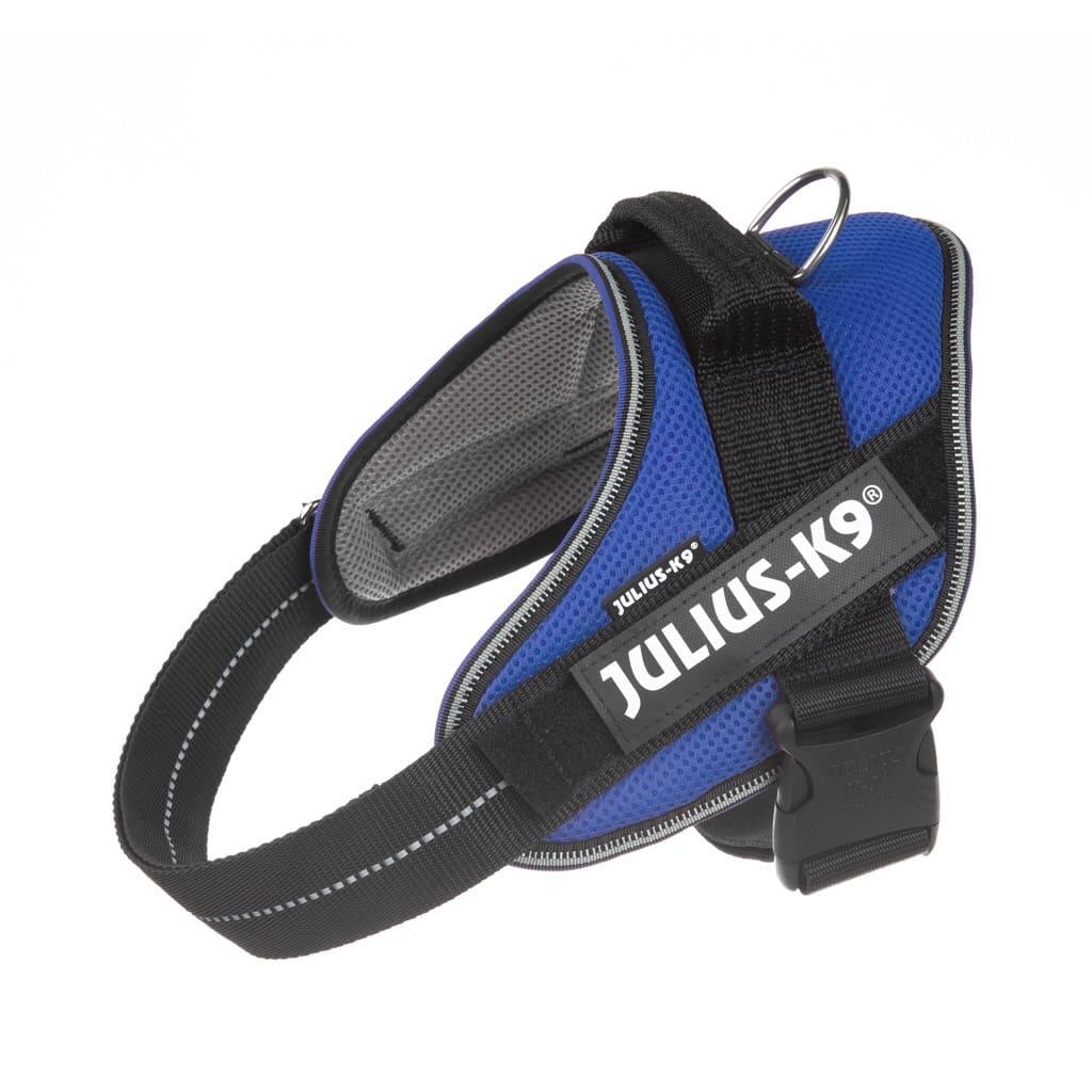 JULIUS-K9 picture