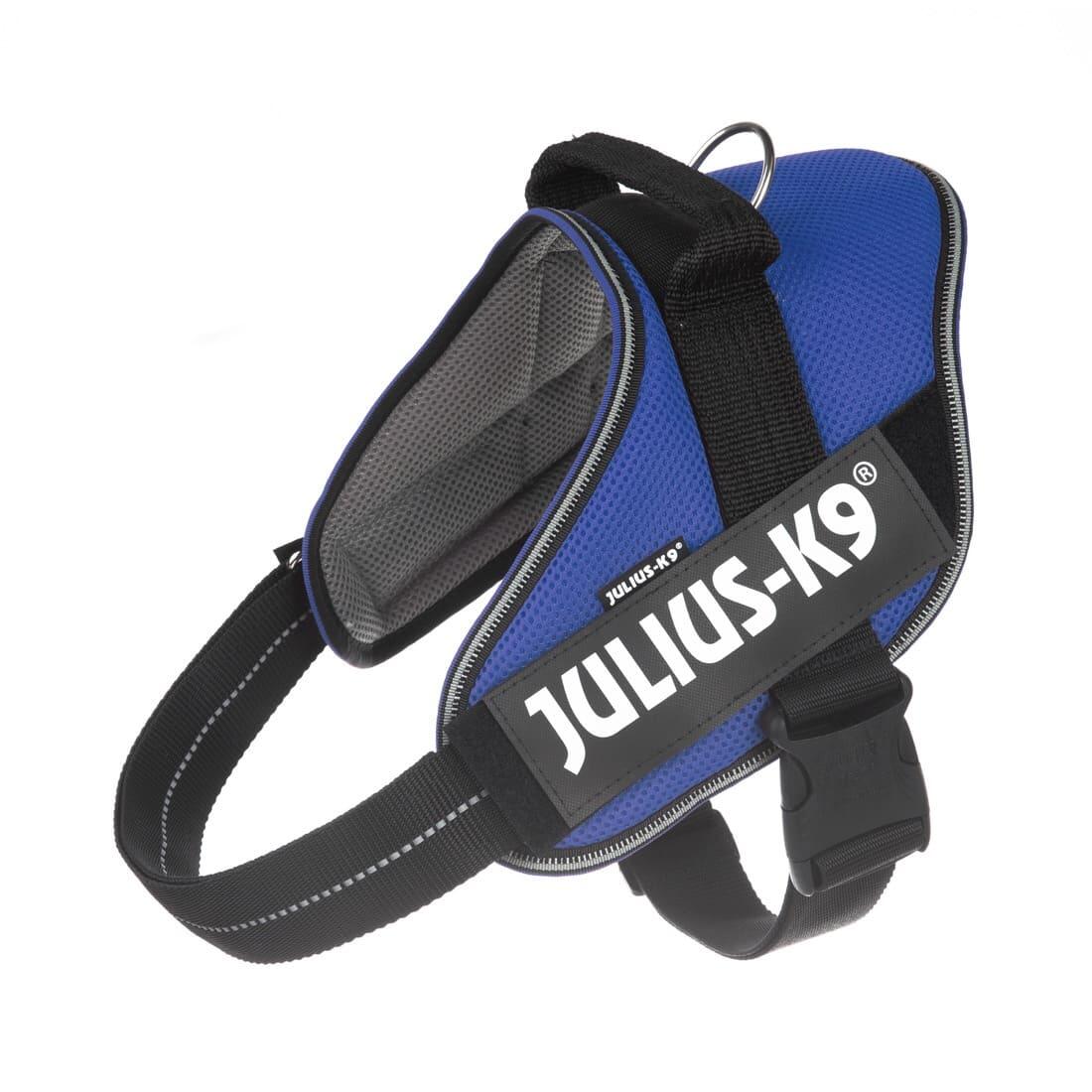 JULIUS-K9 picture